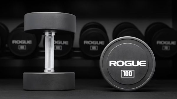 買っちゃいました！